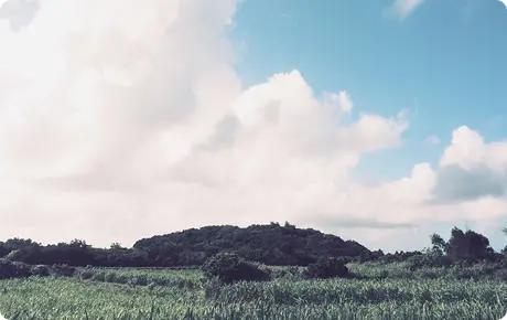 宮古島の風景