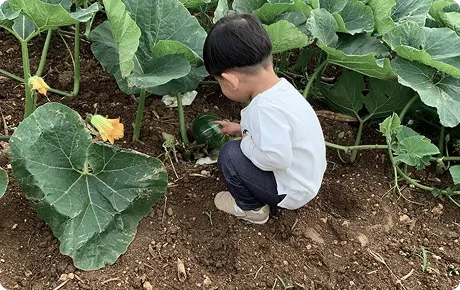 宮古島の自然