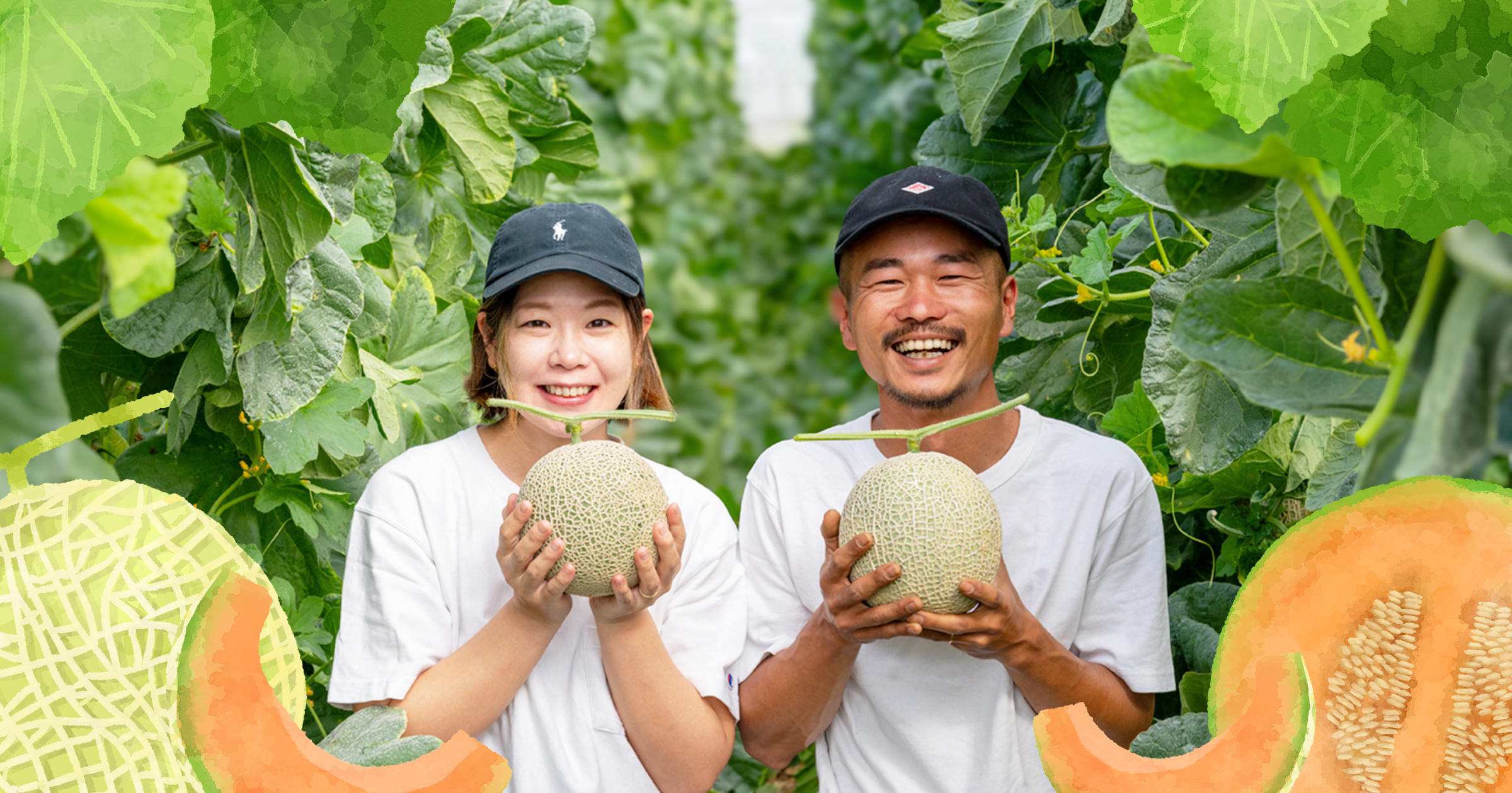 宮古島】てぃだメロン・パイナップル・マンゴー・島野菜の農園8farm